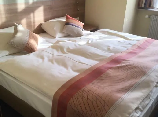 Hotel Hechinger-hof 2*